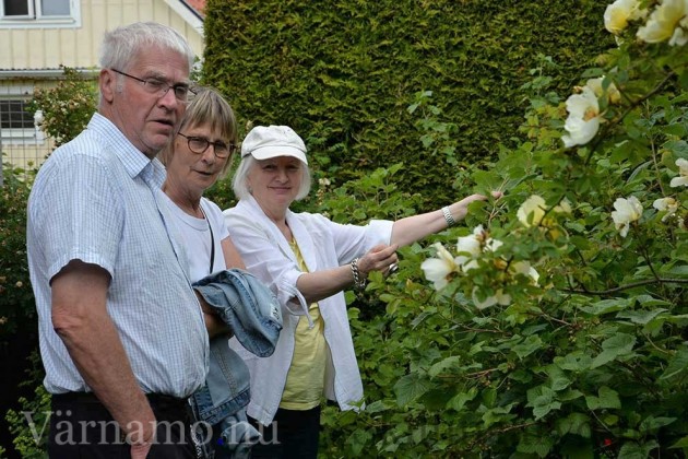 Värnamo.nu | Värnamos snabbaste tidningen