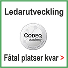 codeq-ledar-annons-150824-135
