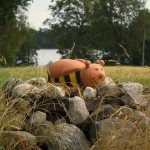 rusken-runt-150830-tero5
