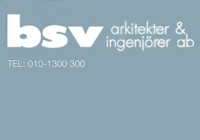 bsv-logo-10-7-150906-pb