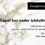 151126-29-annons-fastighetsb.x