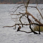 16 IMG_5693