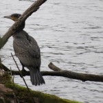 18 IMG_5702