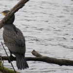 19 IMG_5703