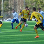 ifk-varnamo-elfsborg-160227-anette5