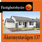 fbyran-akermyntav137-160319-135