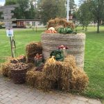 hantverksmassa-tallnas-160918-pb1